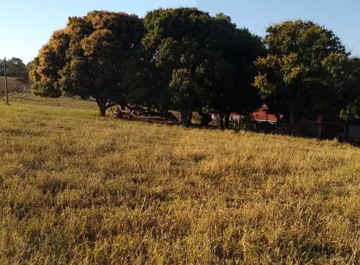 Sítio a Venda em Cesário Lange