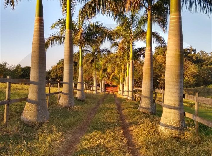 Sítio a Venda em Cesário Lange