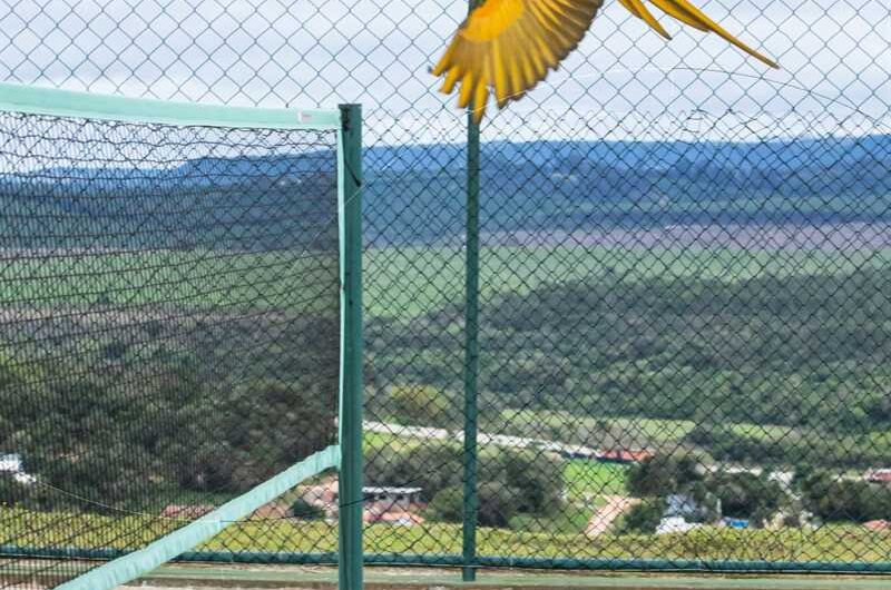 Venda Casa Condomínio Ninho Verde II Pardinho/SP